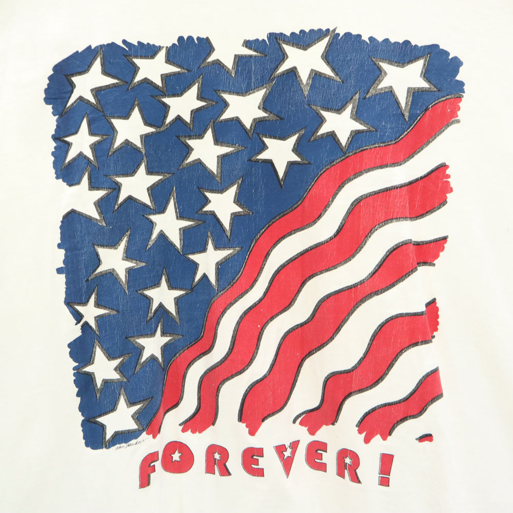 ONEITA オニータ 90s USA製 星条旗 半袖 Tシャツ XL ホワイト POWER-T シングルステッチ オールド ヴィンテージ メンズ