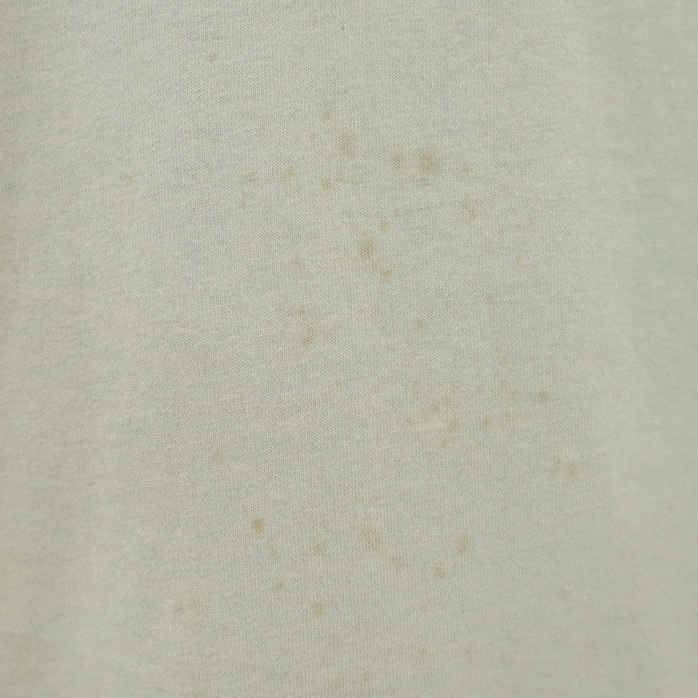 Hanes ヘインズ 90s 半袖 シングルステッチ Tシャツ XL グリーングレー系 オールド ヴィンテージ メンズ