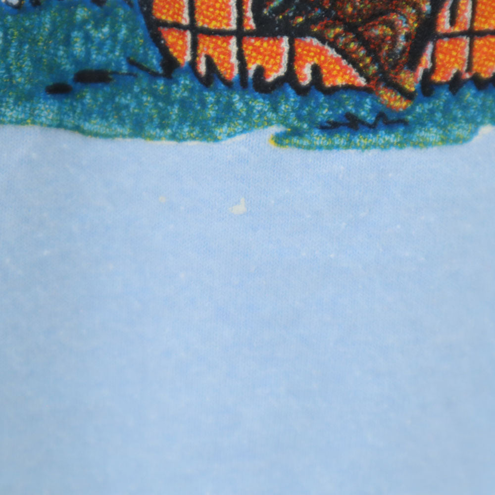 Hanes ヘインズ 90s USA製 半袖 シングルステッチ Tシャツ XL 水色系 オールド ヴィンテージ メンズ