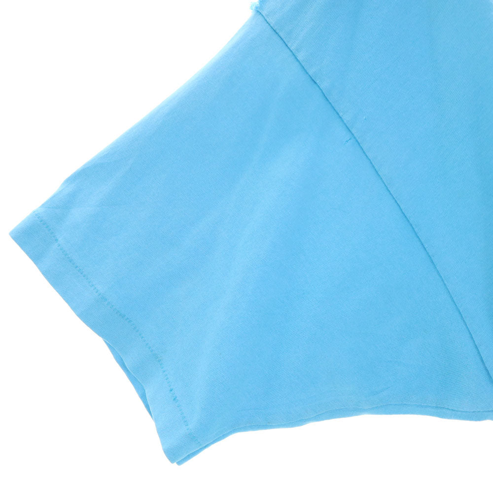 FRUIT OF THE LOOM フルーツオブザルーム 90s USA製 ネイティブプリント 半袖 シングルステッチ Tシャツ XXL 水色 BEST ビッグサイズ オールド ヴィンテージ メンズ