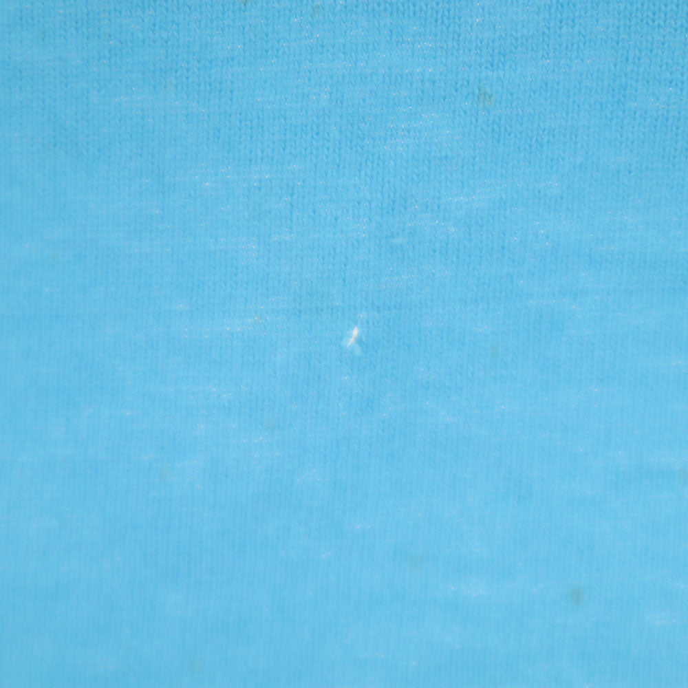 FRUIT OF THE LOOM フルーツオブザルーム 90s USA製 ネイティブプリント 半袖 シングルステッチ Tシャツ XXL 水色 BEST ビッグサイズ オールド ヴィンテージ メンズ