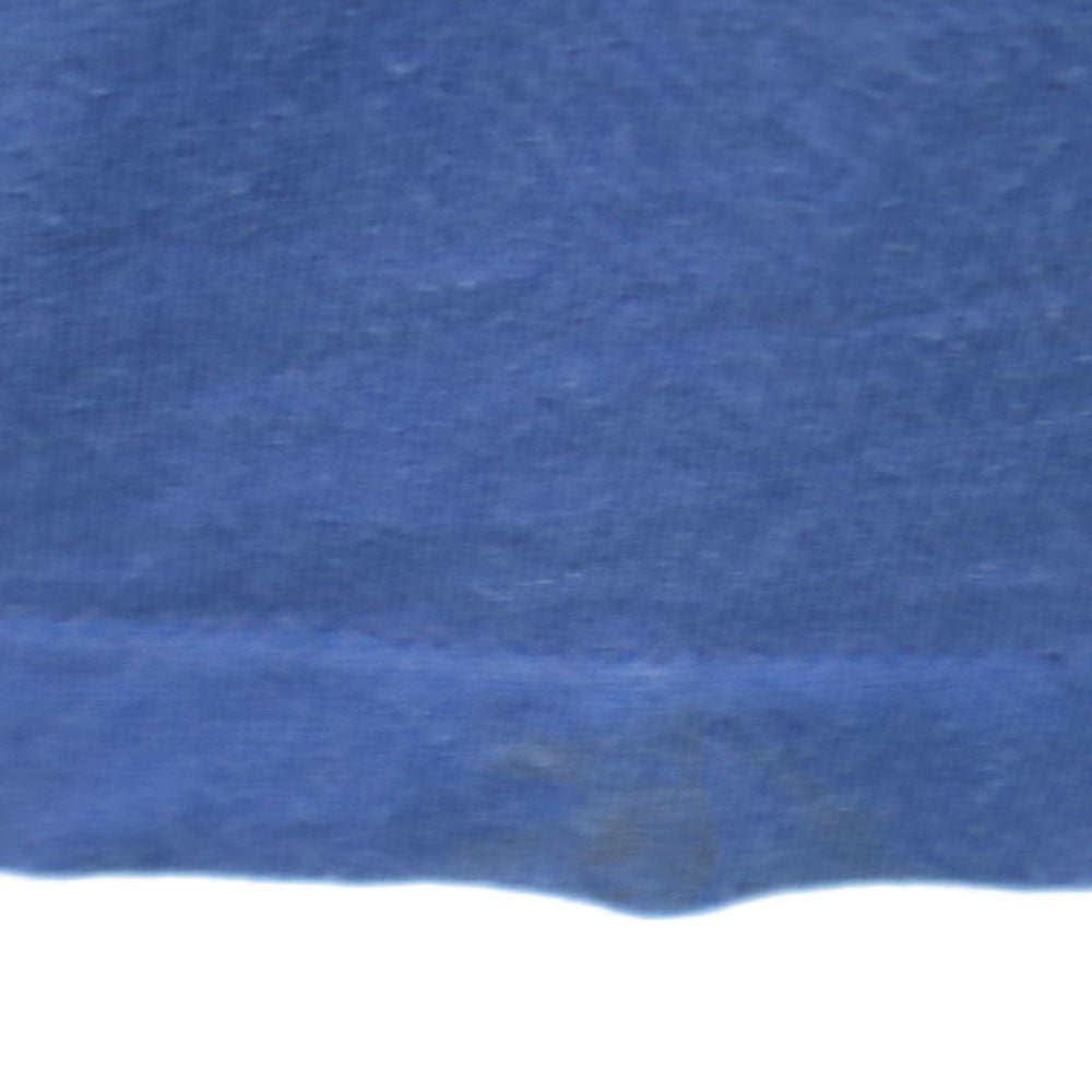 EAGLE イーグル 90s USA製 半袖 ゲーム Tシャツ L ブルー USA トリム オールド ヴィンテージ メンズ