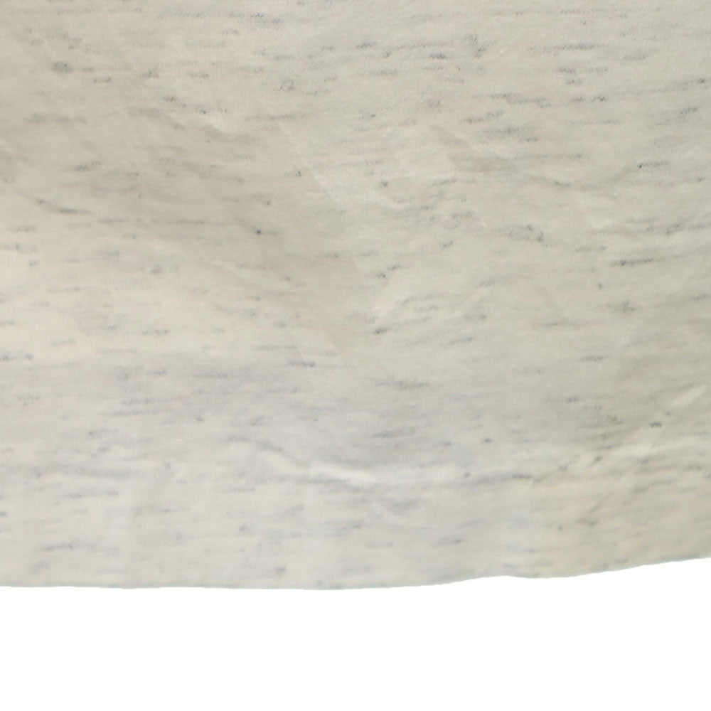 Celebrity sportswear 80s 90s カナダ製 CHEGWIN CHARGERS プリント 半袖 Tシャツ M ライトグレー シングルステッチ カレッジ オールド メンズ