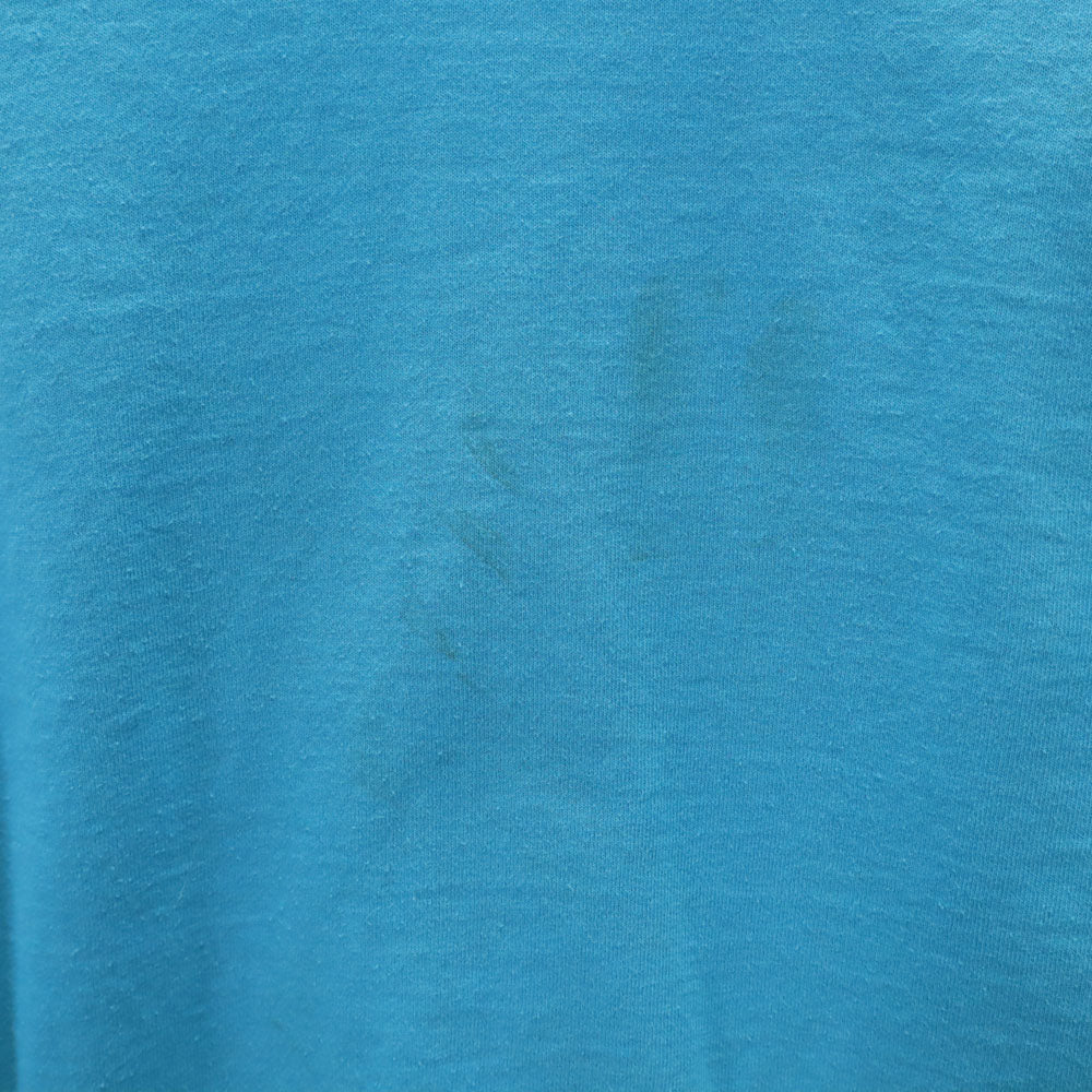 FRUIT OF THE LOOM フルーツオブザルーム 90s USA製 半袖 シングルステッチ オールド Tシャツ 14-16 水色 BEST キッズ
