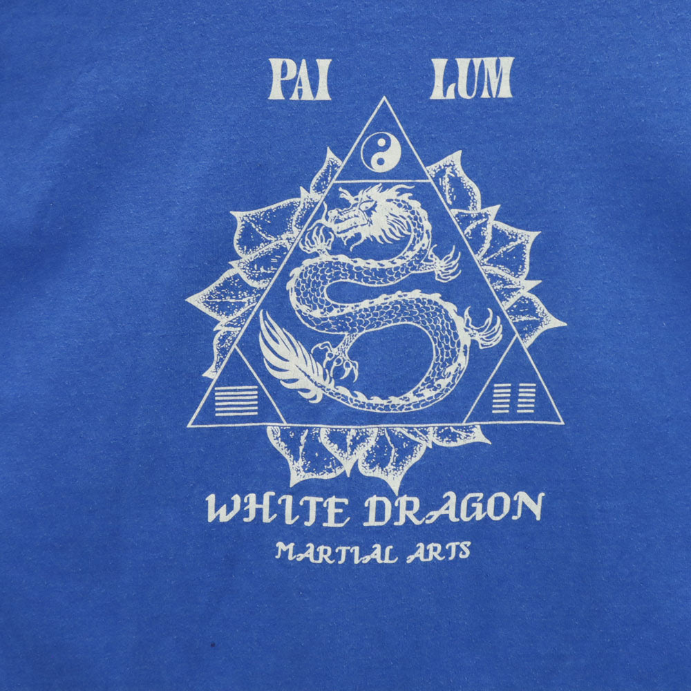 スクリーンスターズベスト 90s USA製 バックプリント 半袖 シングルステッチ オールド Tシャツ XL ブルー SCREEN STARS BEST メンズ