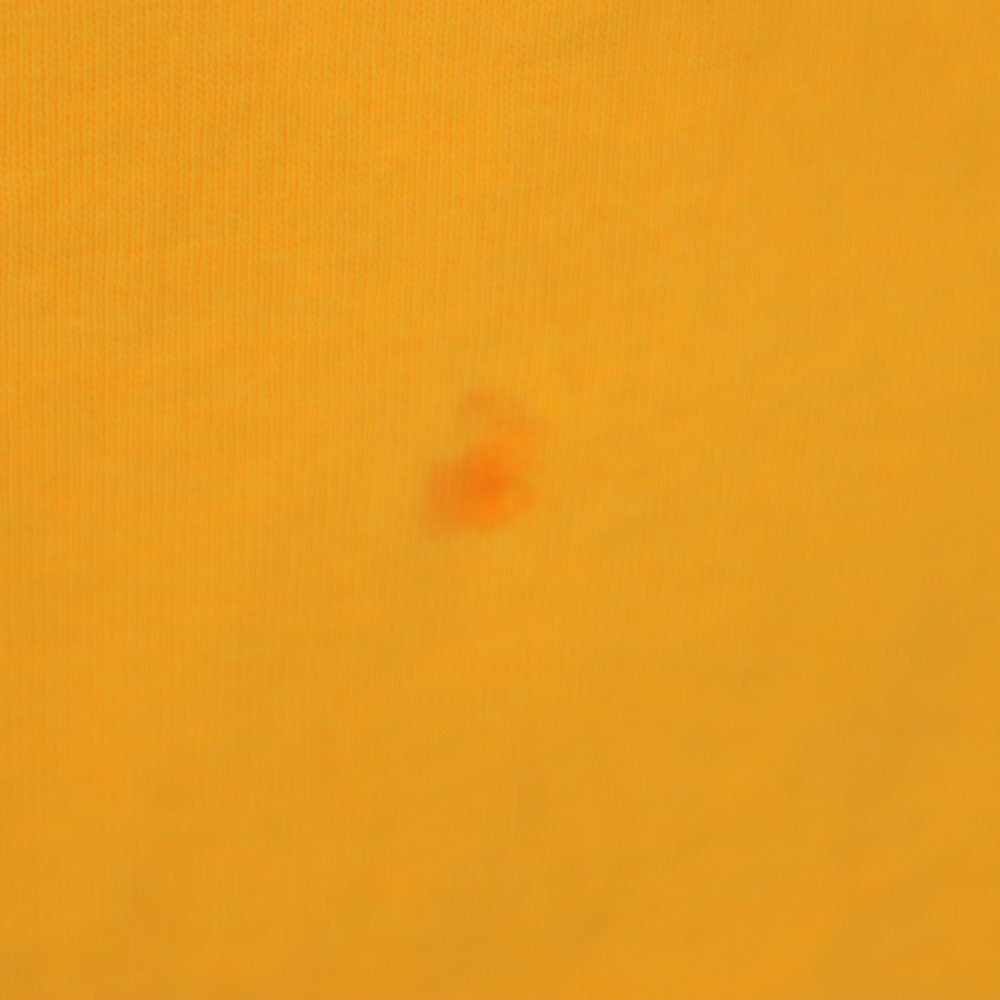 FRUIT OF THE LOOM フルーツオブザルーム 90s USA製 オールド 半袖 シングルステッチ Tシャツ XXL イエロー系 ビックサイズ メンズ