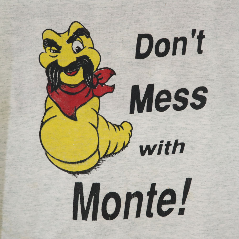 フルーツオブザルーム 90s USA製 オールド 半袖 シングルステッチ Tシャツ XL グレー FRUIT OF THE LOOM メンズ