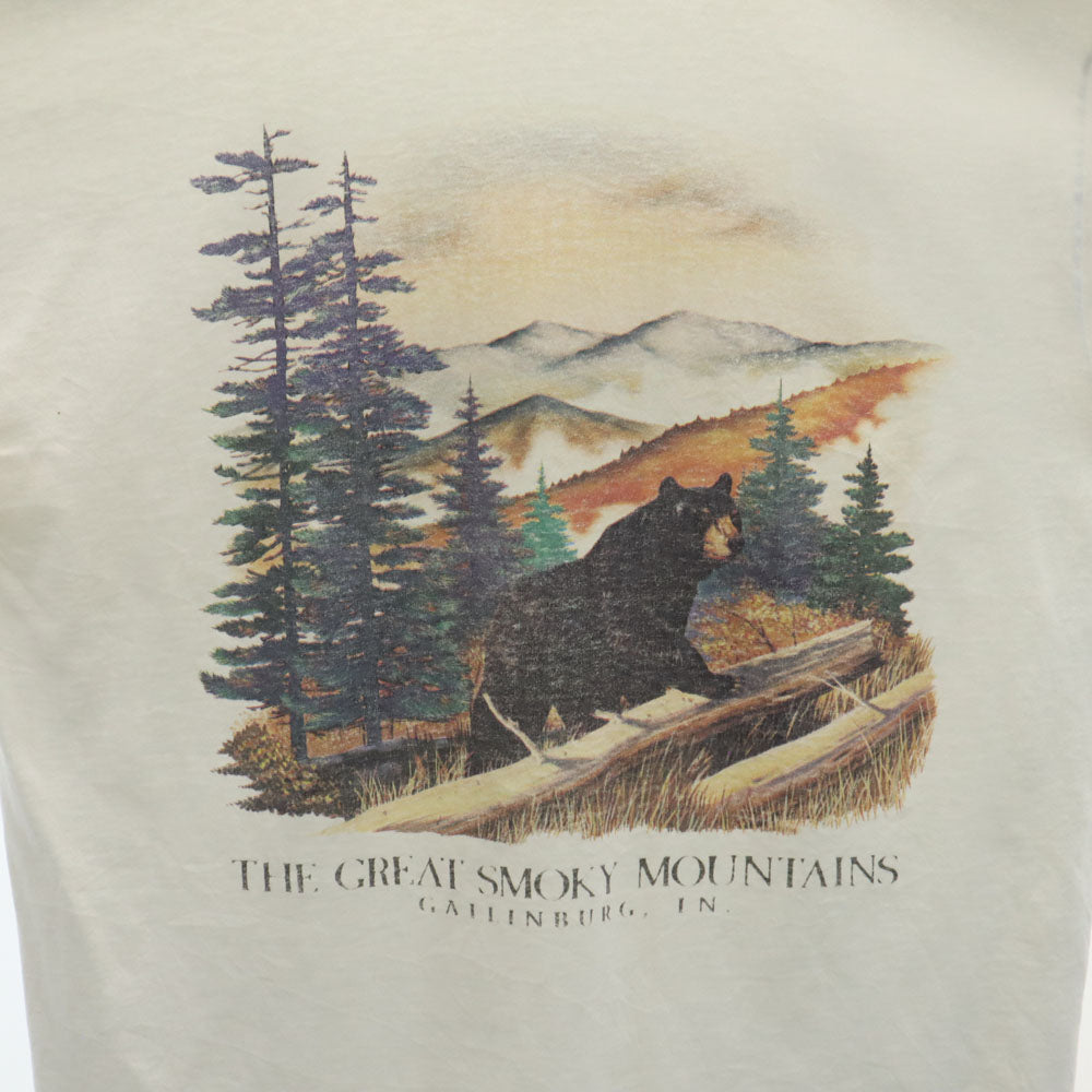 FRUIT OF THE LOOM フルーツオブザルーム 90s USA製 オールド グレート・スモーキー・マウンテンズ 半袖 シングルステッチ Tシャツ L オフホワイト BEST メンズ