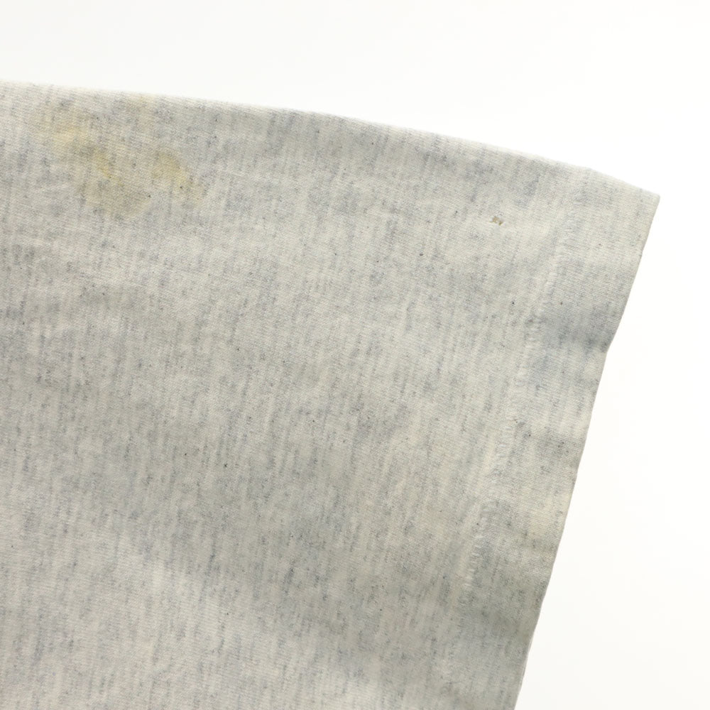 ナツメグ 90s USA製 オールド カレッジプリント 半袖 シングルステッチ Tシャツ XL グレー NUTMEG MICHIGAN メンズ