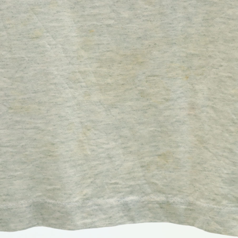 FRUIT OF THE LOOM フルーツオブザルーム 90s USA製 オールド 半袖 シングルステッチ Tシャツ XL ライトグレー BEST メンズ