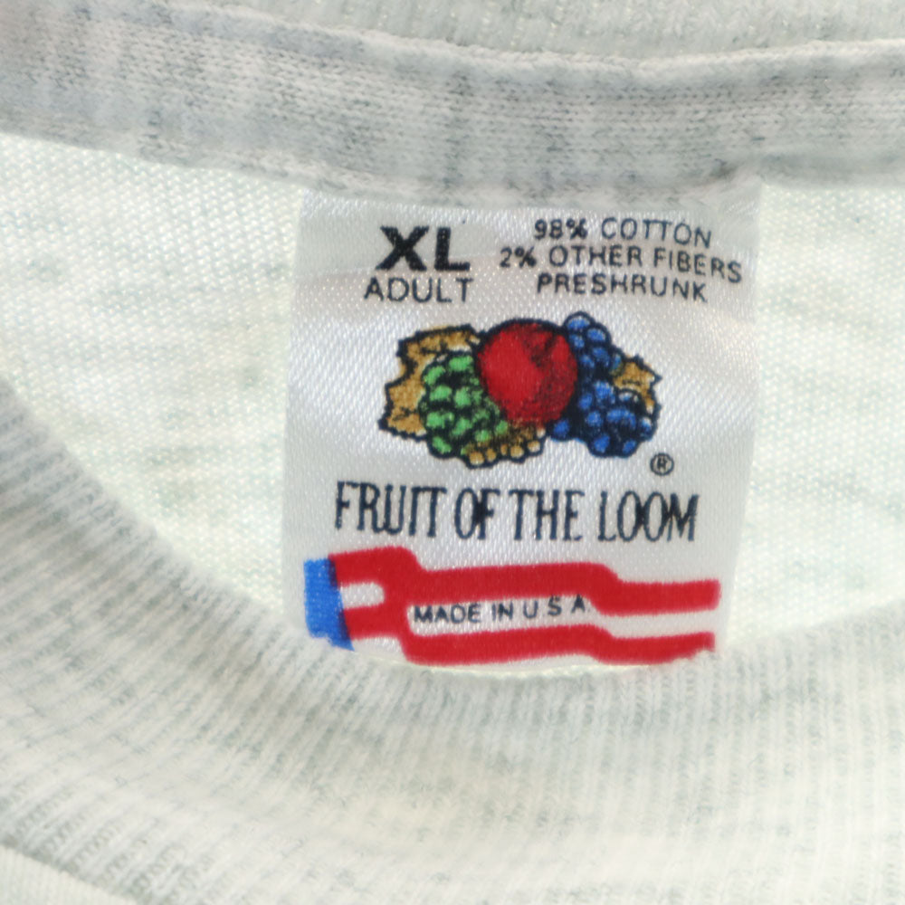FRUIT OF THE LOOM フルーツオブザルーム 90s USA製 オールド プリント 半袖 シングルステッチ Tシャツ XL グレー系 メンズ
