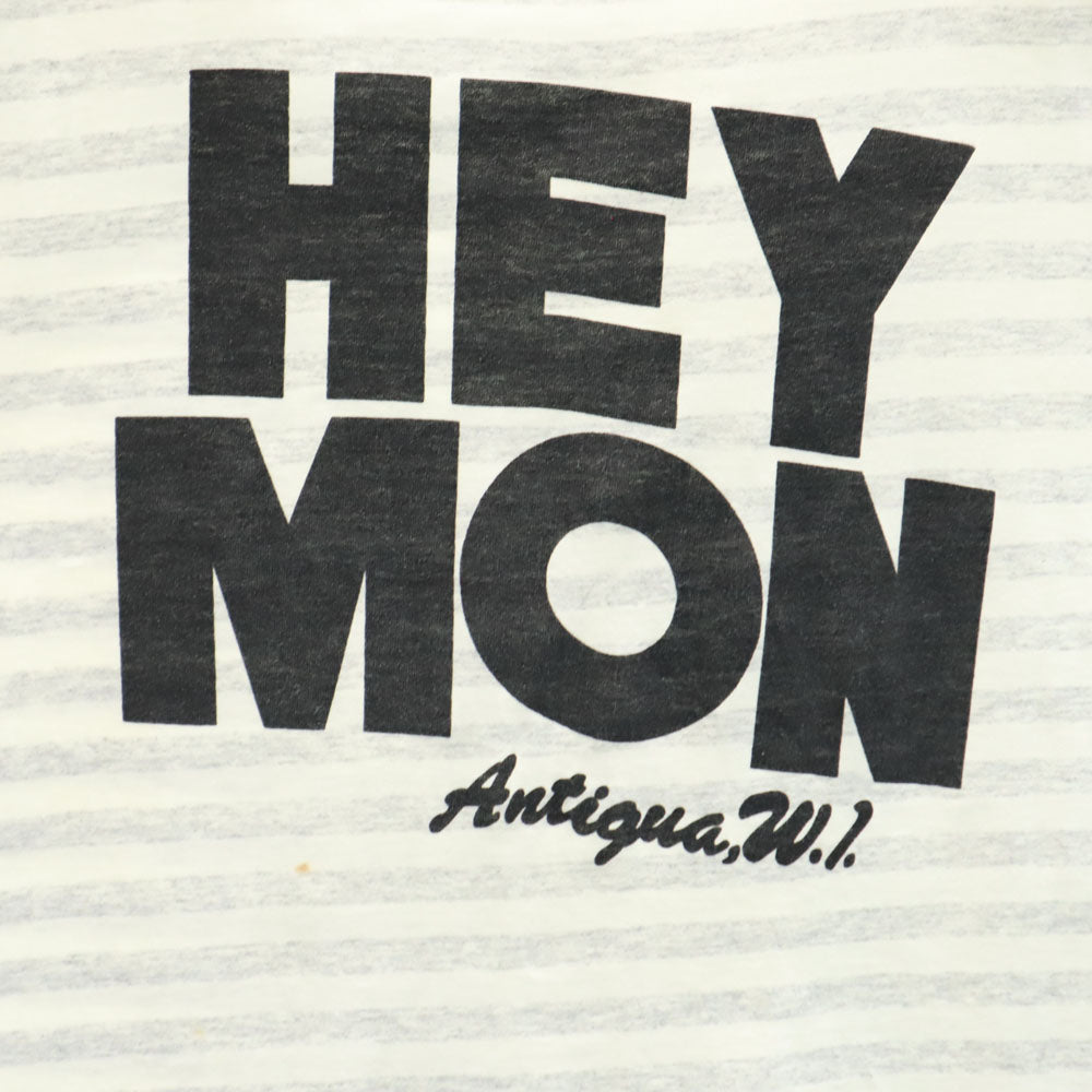 Island Waves 90s ボーダー 半袖 シングルステッチ オールド Tシャツ XL グレー系 メンズ