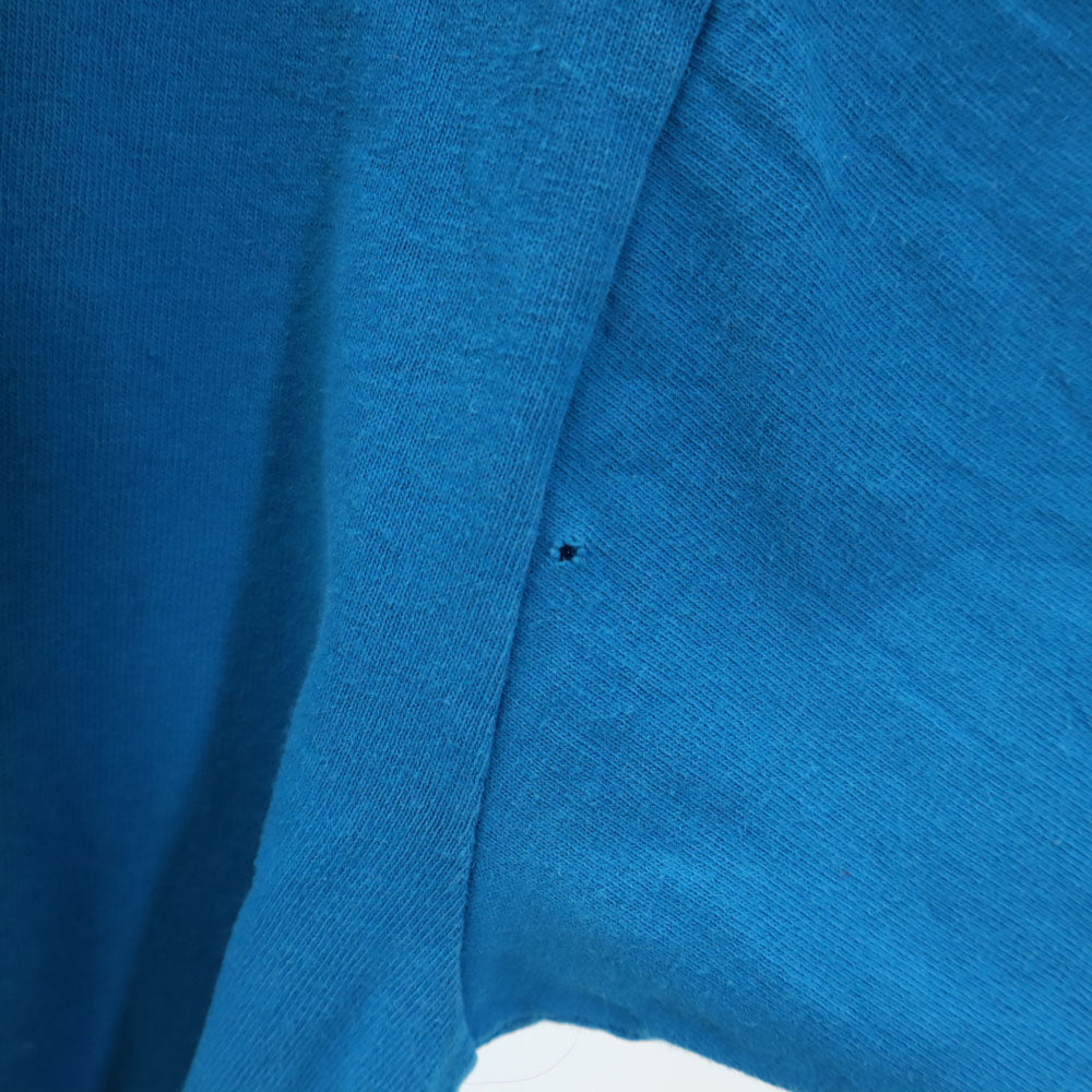 anvil アンヴィル 90s USA製 オールド シングルステッチ 半袖 Tシャツ L 水色 メンズ