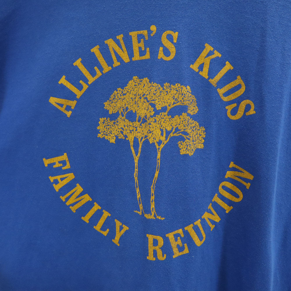 ヘインズ 90s USA製 オールド シングルステッチ 半袖 Tシャツ XL ブルー Hanes メンズ