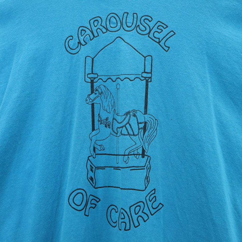 FRUIT OF THE LOOM フルーツオブザルーム 90s USA製 オールド 半袖 シングルステッチ Tシャツ XXL 水色 ビッグサイズ メンズ