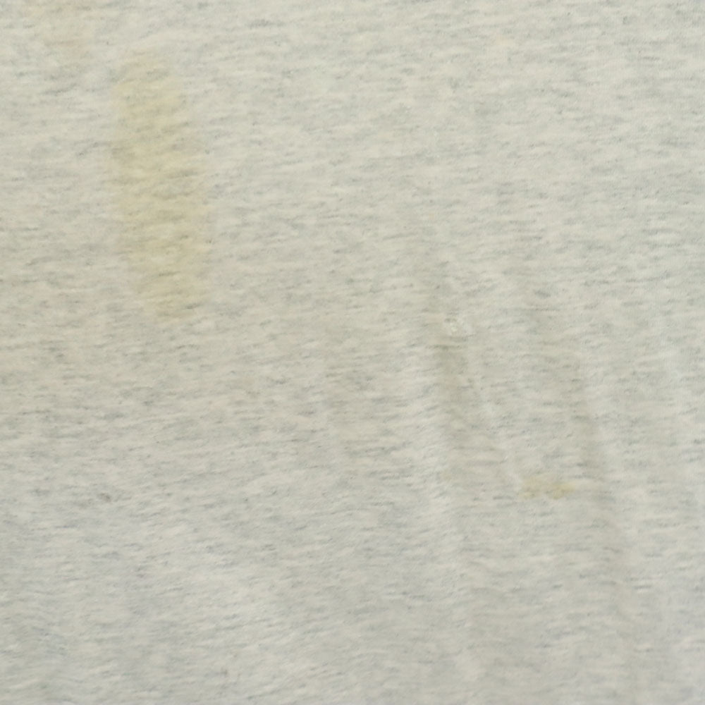 FRUIT OF THE LOOM フルーツオブザルーム 90s カナダ製 半袖 シングルステッチ オールド Tシャツ XL ライトグレー BEST メンズ