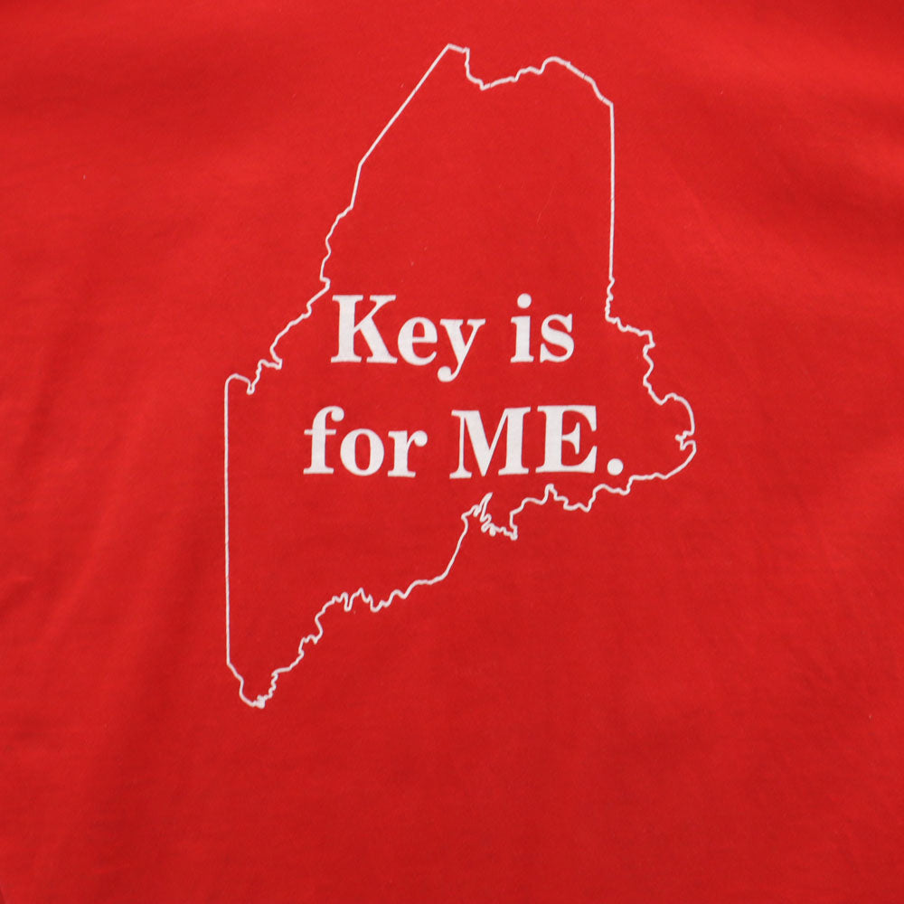 FRUIT OF THE LOOM フルーツオブザルーム 90s USA製 半袖 シングルステッチ オールド Tシャツ XL レッド メンズ