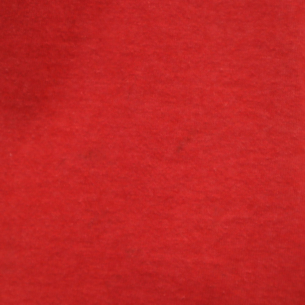 FRUIT OF THE LOOM フルーツオブザルーム 90s USA製 半袖 シングルステッチ オールド Tシャツ XL レッド BEST メンズ