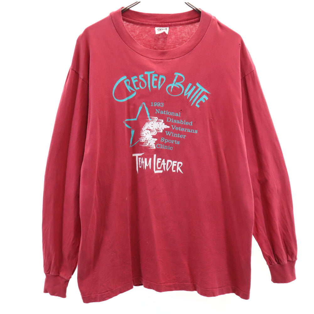 anvil アンヴィル 90s USA製 オールド 長袖 シングルステッチ Tシャツ L ピンクレッド系 ロンT メンズ