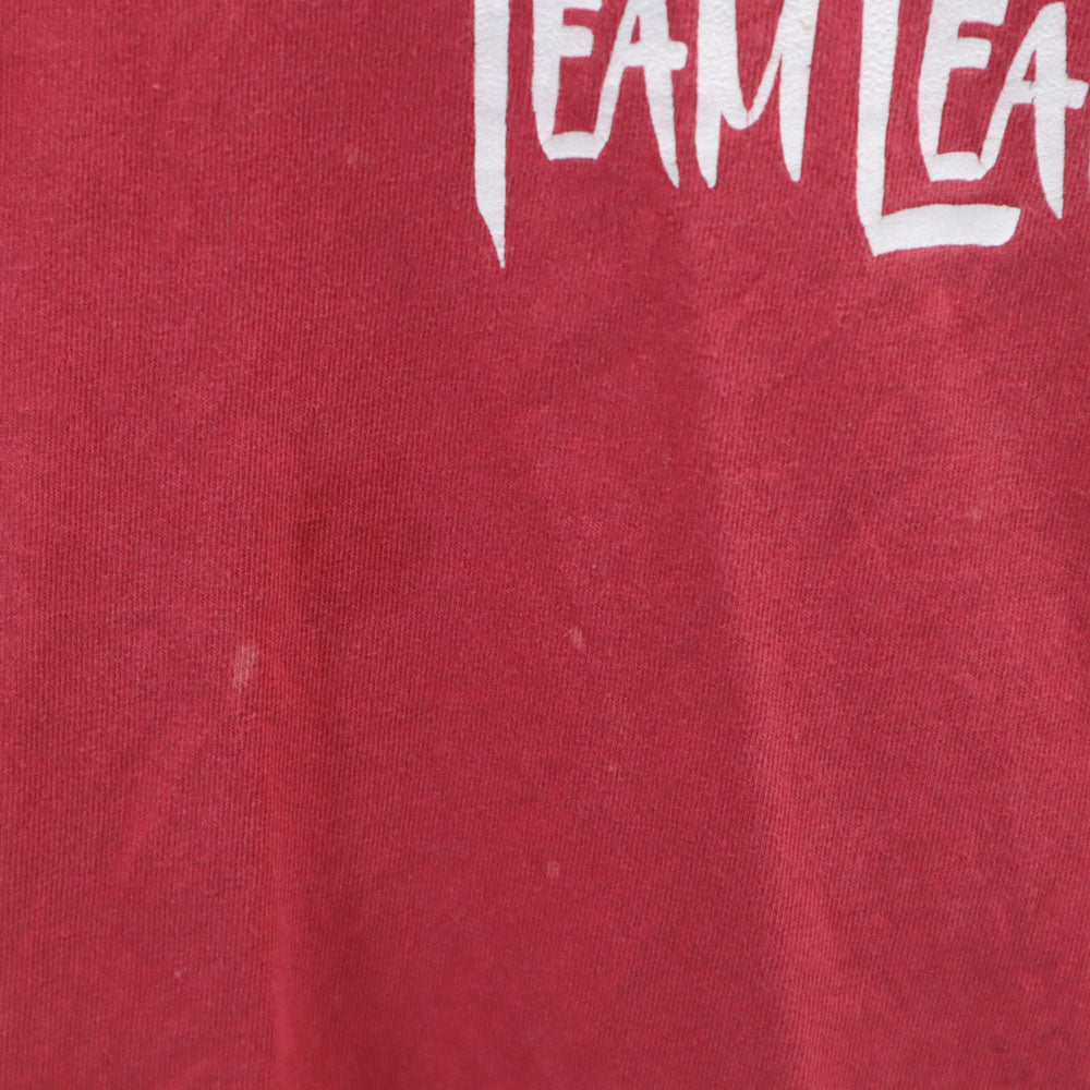 anvil アンヴィル 90s USA製 オールド 長袖 シングルステッチ Tシャツ L ピンクレッド系 ロンT メンズ