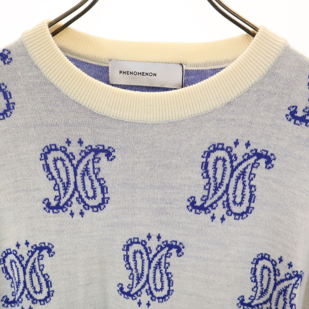 未使用 PHENOMENON フェノメノン ウール ペイズリー柄 長袖 セーター L ホワイト ニット レディース