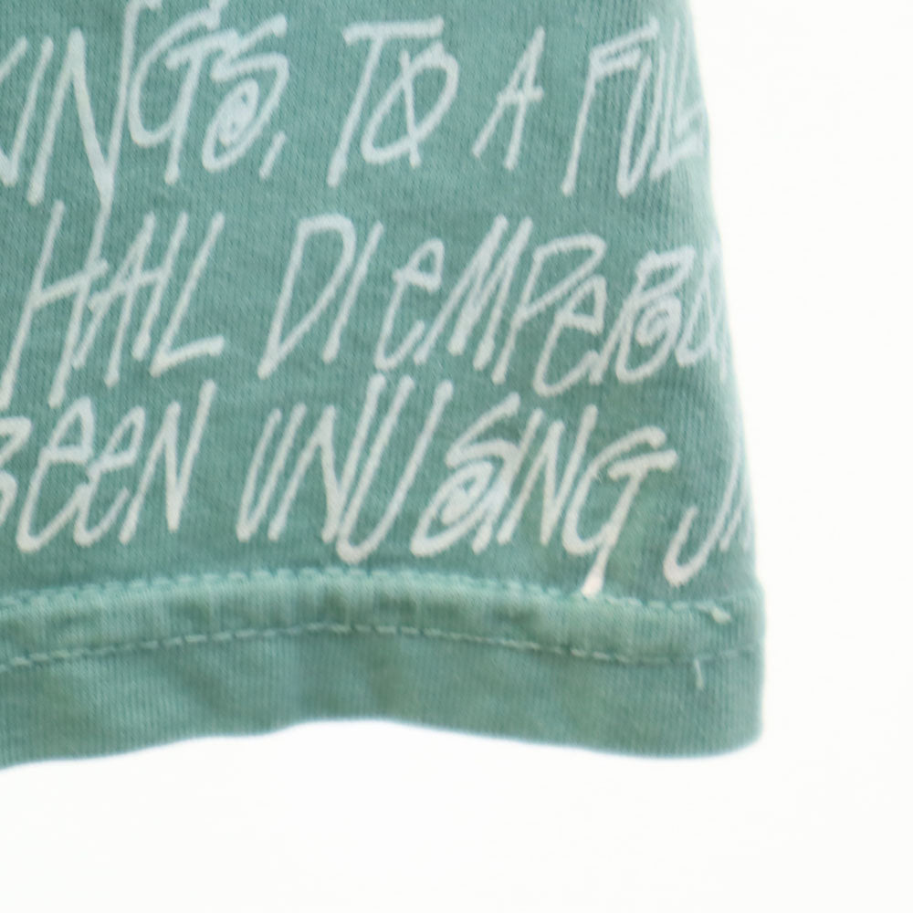 STUSSY ステューシー バックプリント 半袖 Tシャツ M ダスティーミント系 メンズ