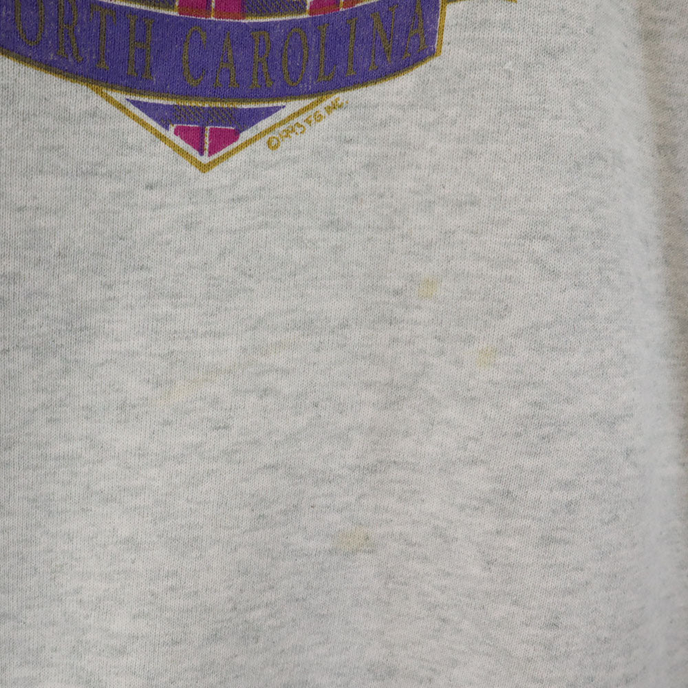 FRUIT OF THE LOOM フルーツオブザルーム 90s USA製 オールド 長袖 スウェット トレーナー L グレー系 裏起毛 メンズ