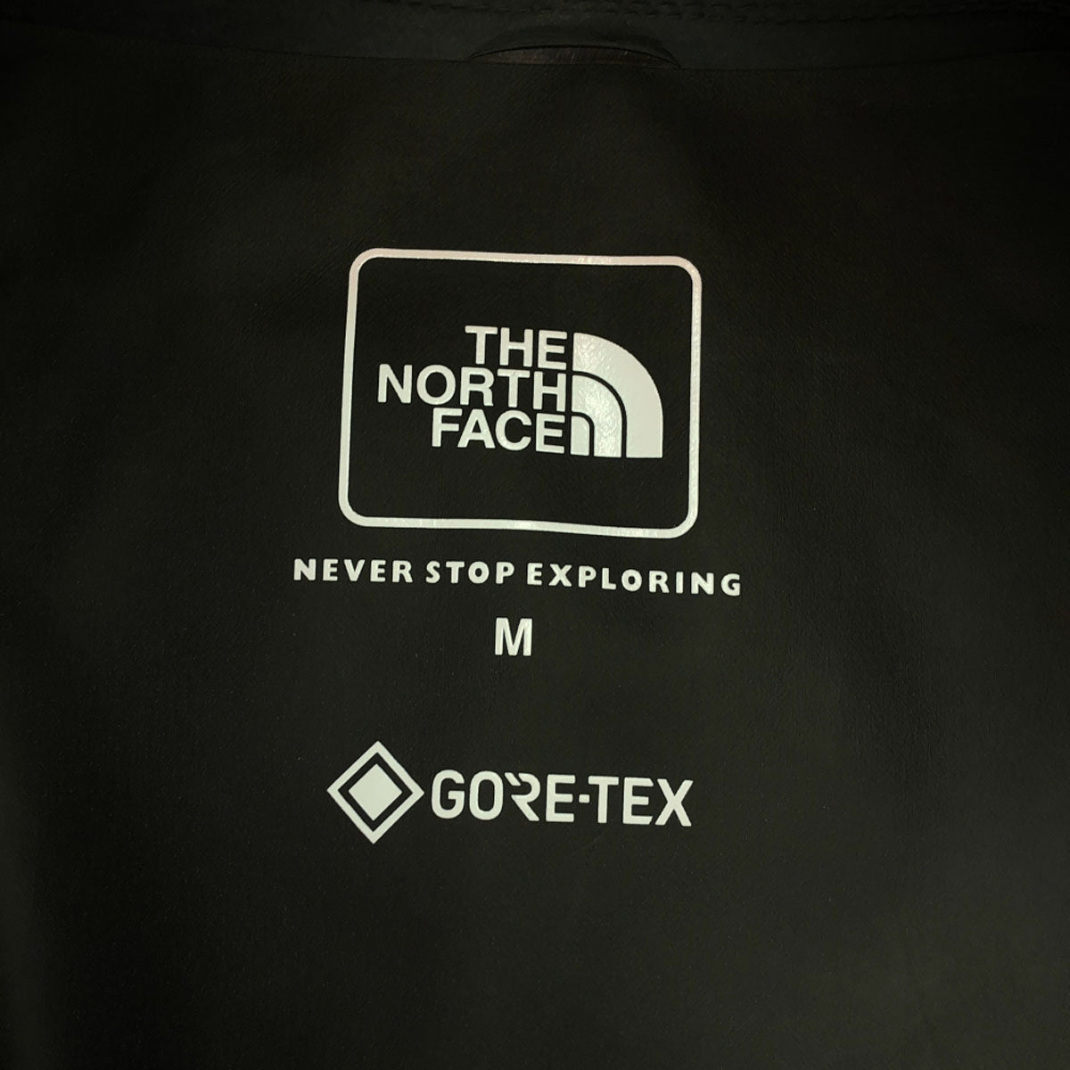 THE NORTH FACE ザノースフェイス ロゴプリント クラウド ジャケット M レッド ゴアテックス NP12012Z アウトドア メンズ