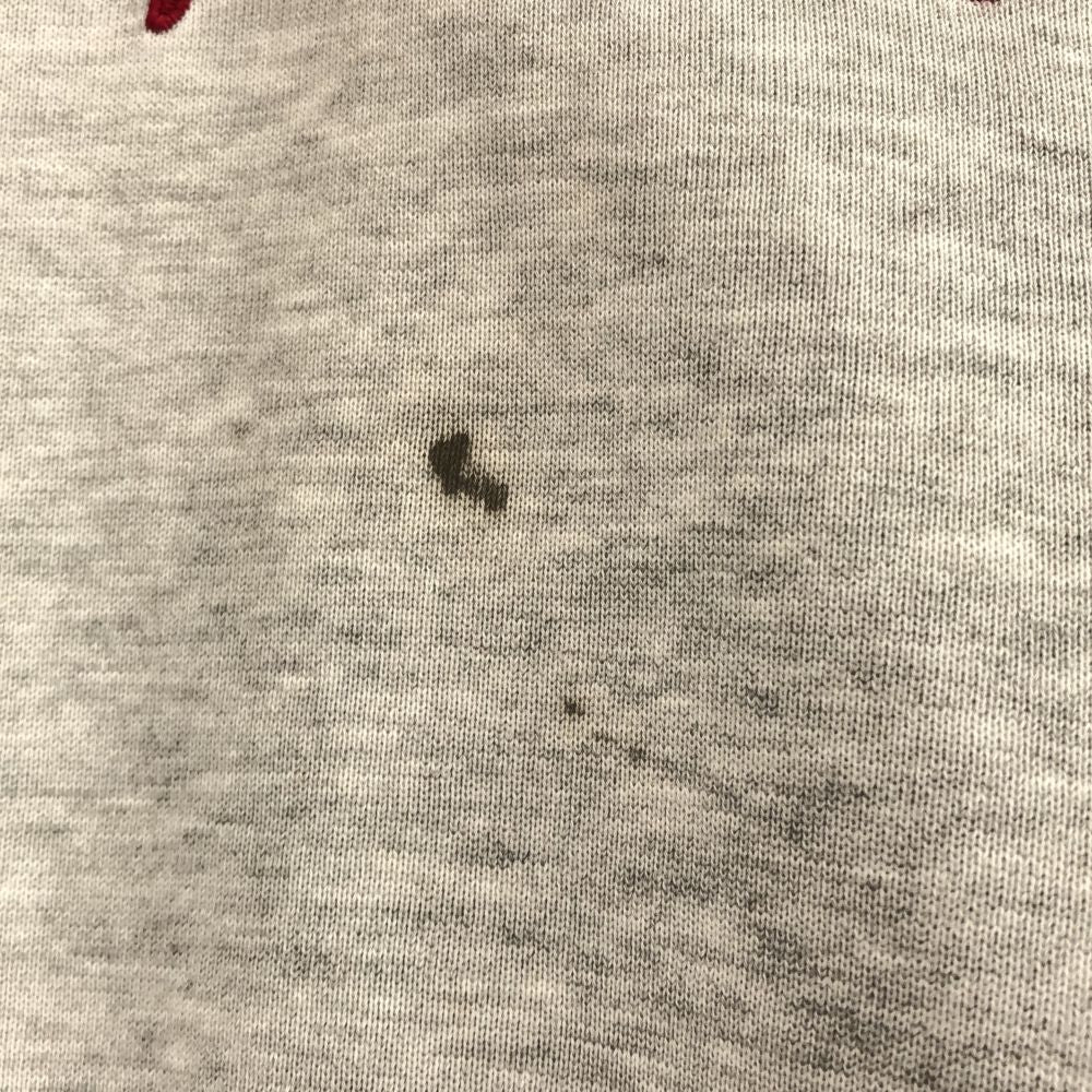 Champion products チャンピオンプロダクツ 90s 日本製 長袖 スウェット トレーナー M グレー オールド ヴィンテージ メンズ