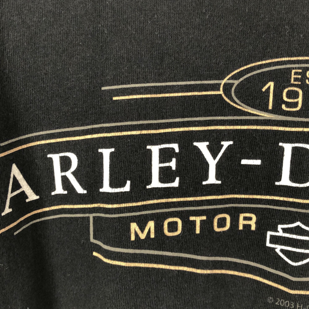 ハーレーダビッドソン プリント 長袖 Tシャツ XL ブラック HARLEY DAVIDSON ロンT メンズ