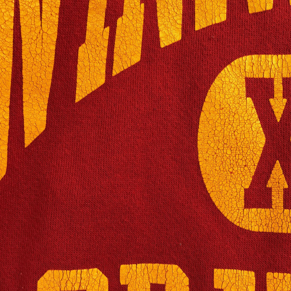 TSi 90s USA製 プリント 長袖 スウェット トレーナー L レッド 裏起毛 オールド メンズ