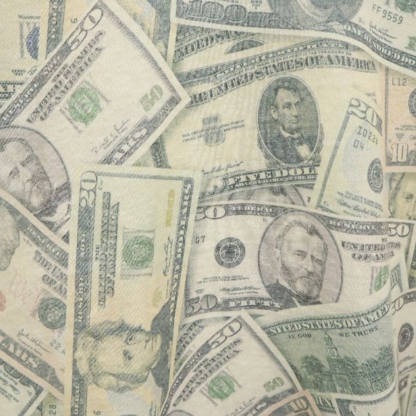 ギルダン ドル紙幣 プリント 半袖 Tシャツ L グレー系 GILDAN DryBlend メンズ