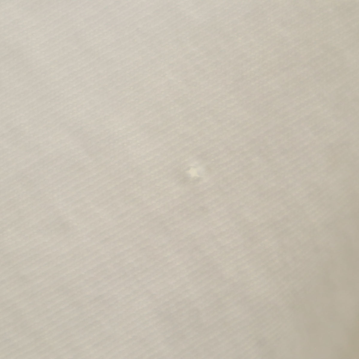 FRUIT OF THE LOOM フルーツオブザルーム 90s USA製 オールド MAINE 半袖 Tシャツ L ホワイト シングルステッチ メンズ