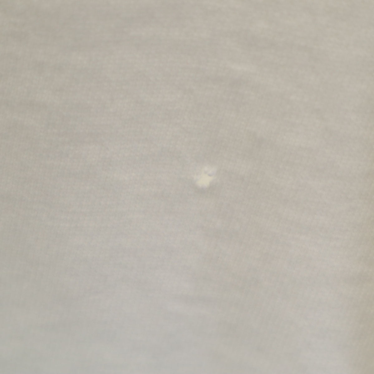 FRUIT OF THE LOOM フルーツオブザルーム 90s USA製 オールド MAINE 半袖 Tシャツ L ホワイト シングルステッチ メンズ