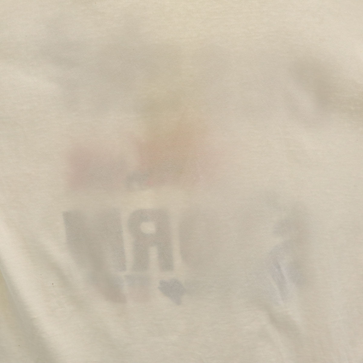 90s オールド USA製 DESERT STORM ラクダ プリント 半袖 Tシャツ XL ホワイト シングルステッチ メンズ