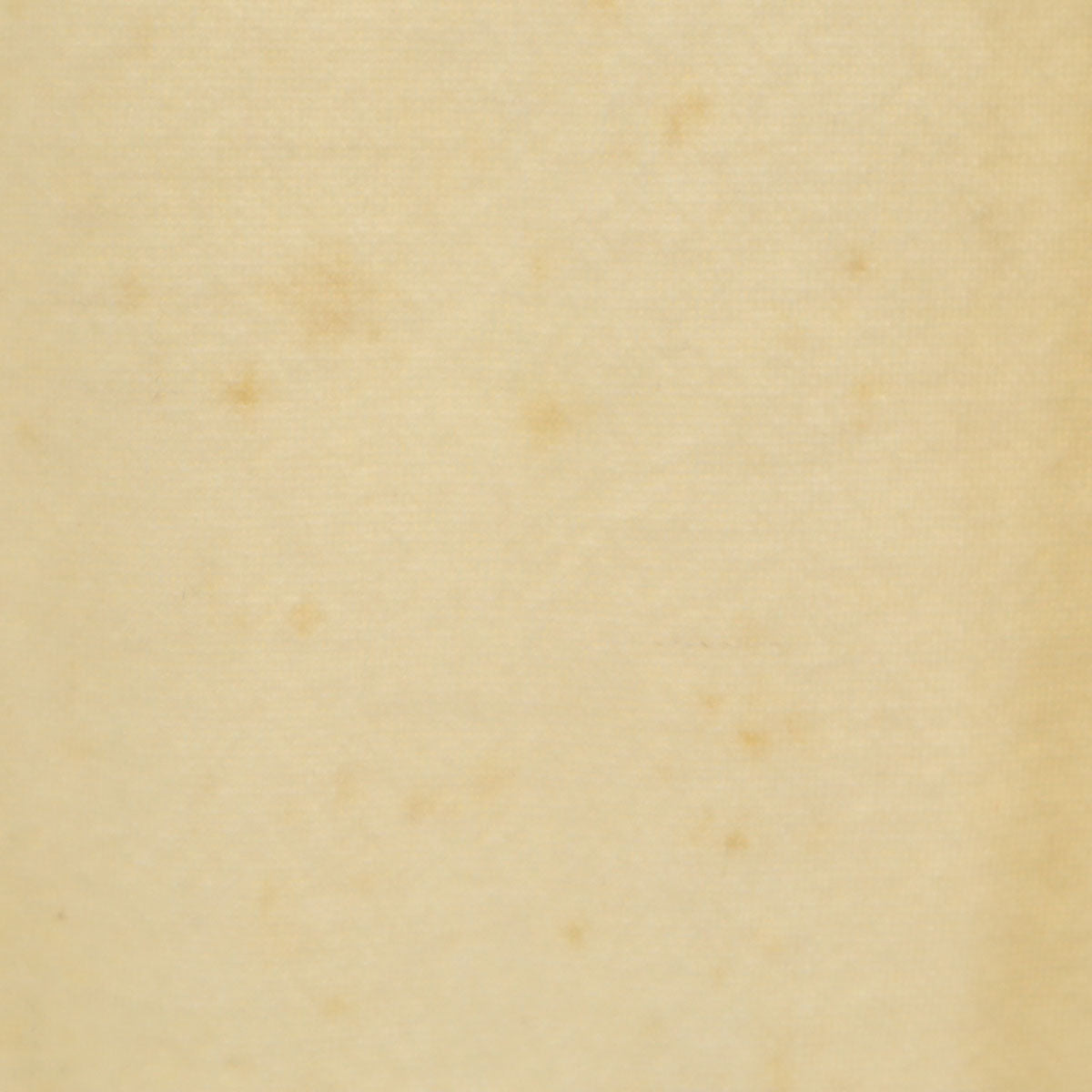 FRENCH ARMY フランス軍 40s 50s ヴィンテージ ノースリーブ Vネック ベスト 46 ベージュ メンズ