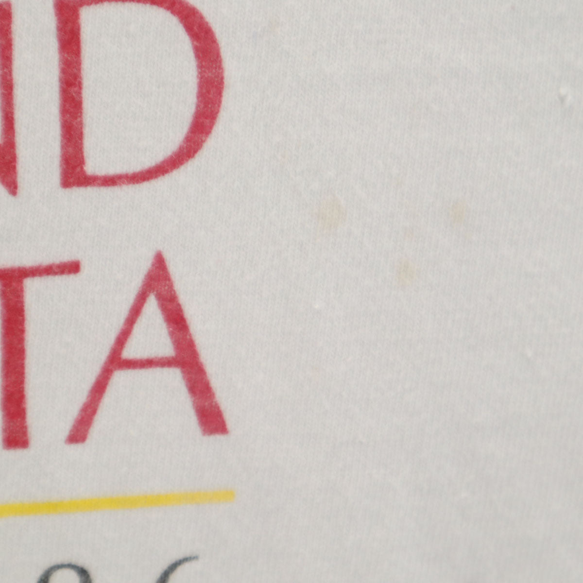 Hanes ヘインズ 80s USA製 ヴィンテージ カヤック プリント 半袖 Tシャツ L グレー BEEFY-T シングルステッチ メンズ