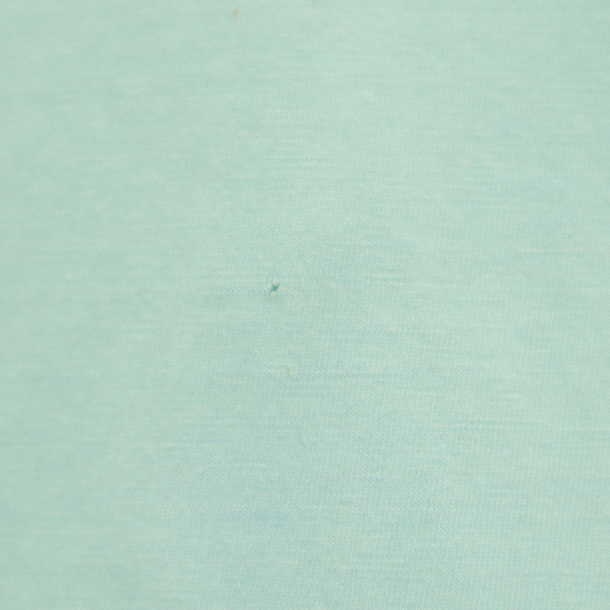 AMERICAN WEAR アメリカンウェア ミニーマウス 半袖 Tシャツ ミント系 Disney ディズニー キャラクター シングルステッチ メンズ