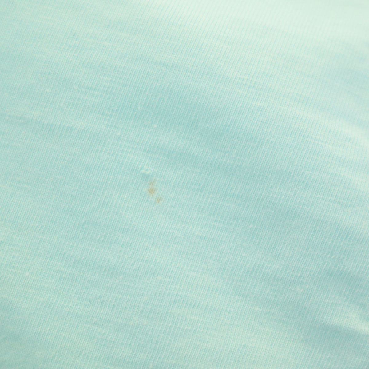 AMERICAN WEAR アメリカンウェア ミニーマウス 半袖 Tシャツ ミント系 Disney ディズニー キャラクター シングルステッチ メンズ