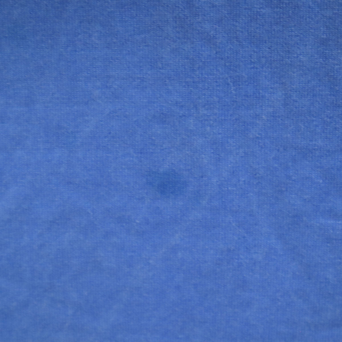 XLARGE エクストララージ バックプリント 半袖 Tシャツ XL ブルー メンズ