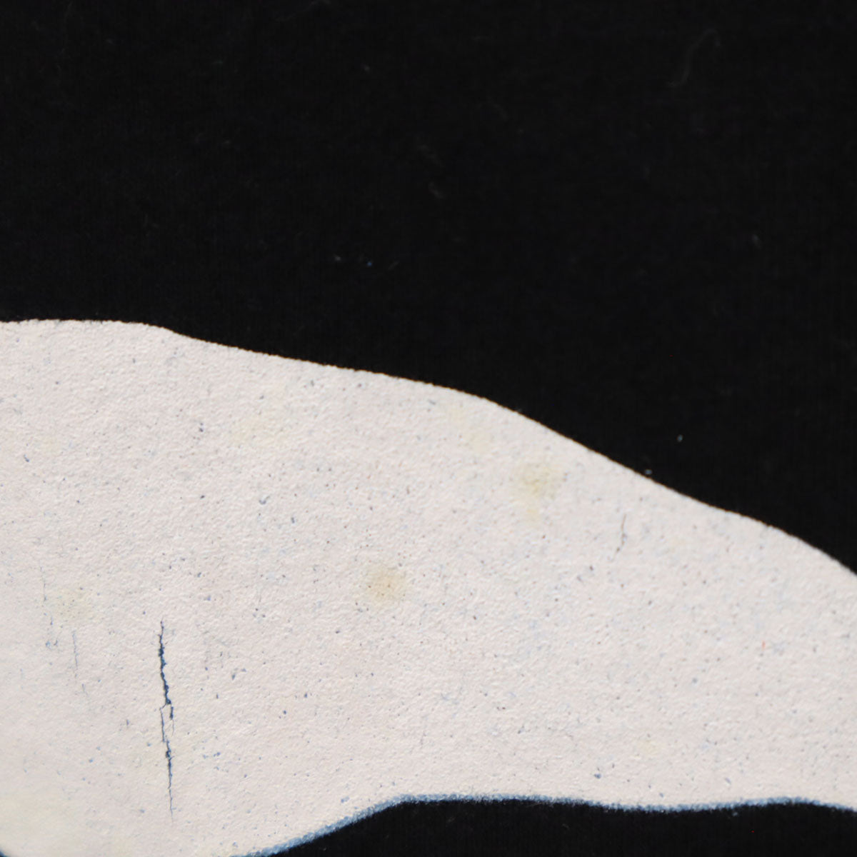 THUNDER サンダー チェゲバラ プリント 半袖 Tシャツ S ブラック メンズ