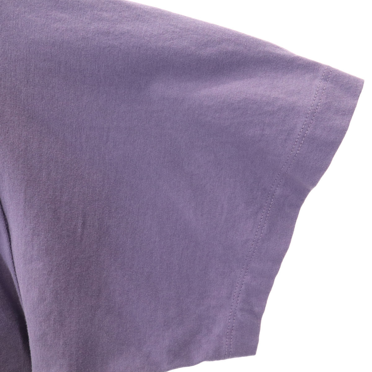 COACH コーチ 恐竜 レキシー 半袖 Tシャツ L パープル系 CS619 メンズ