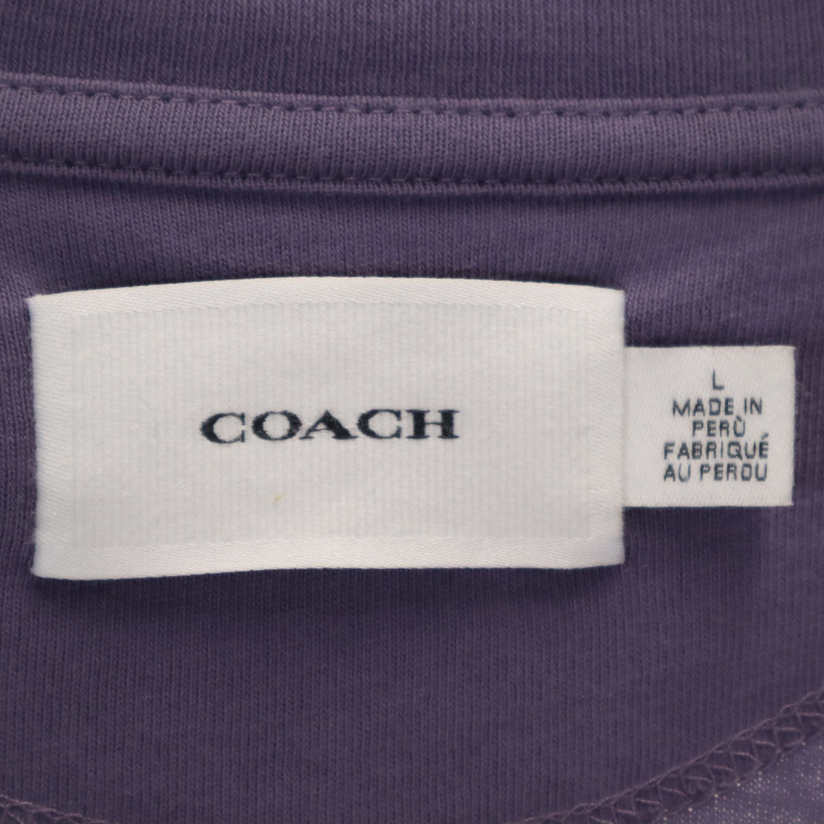 COACH コーチ 恐竜 レキシー 半袖 Tシャツ L パープル系 CS619 メンズ