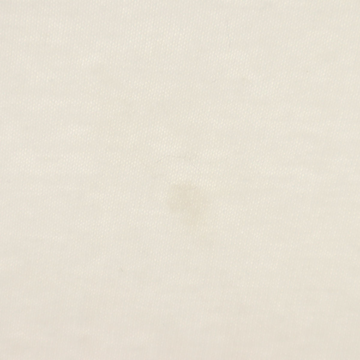 Hanes ヘインズ 90s USA製 オールド 半袖 BEEFY-T Tシャツ XXL ホワイト系 シングルステッチ ビッグサイズ メンズ