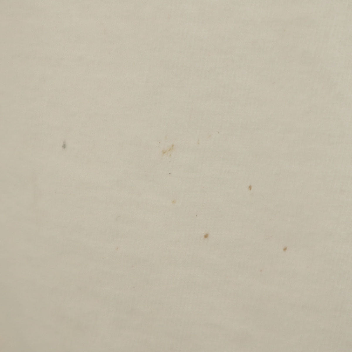 FRUIT OF THE LOOM フルーツオブザルーム 90s USA製 オールド 半袖 Tシャツ XL ホワイト系 シングルステッチ メンズ