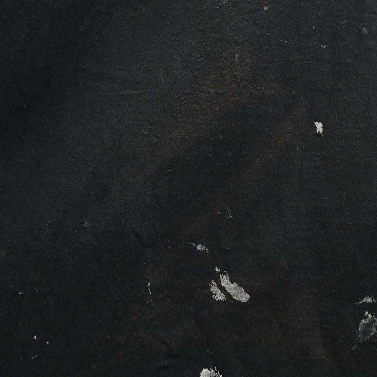 FRUIT OF THE LOOM フルーツオブザルーム 90s USA製 オールド BAREBONES 半袖 Tシャツ XL ブラック シングルステッチ バンド メンズ