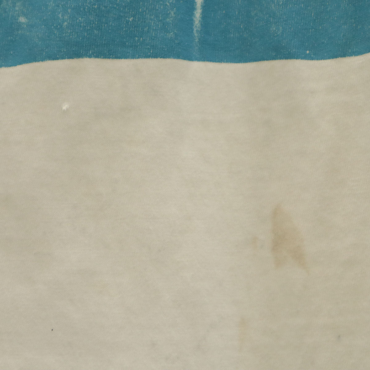 Hanes ヘインズ 90s USA製 オールド メッセージ プリント 半袖 Tシャツ XXL ホワイト シングルステッチ BEEFY-T ビッグサイズ メンズ