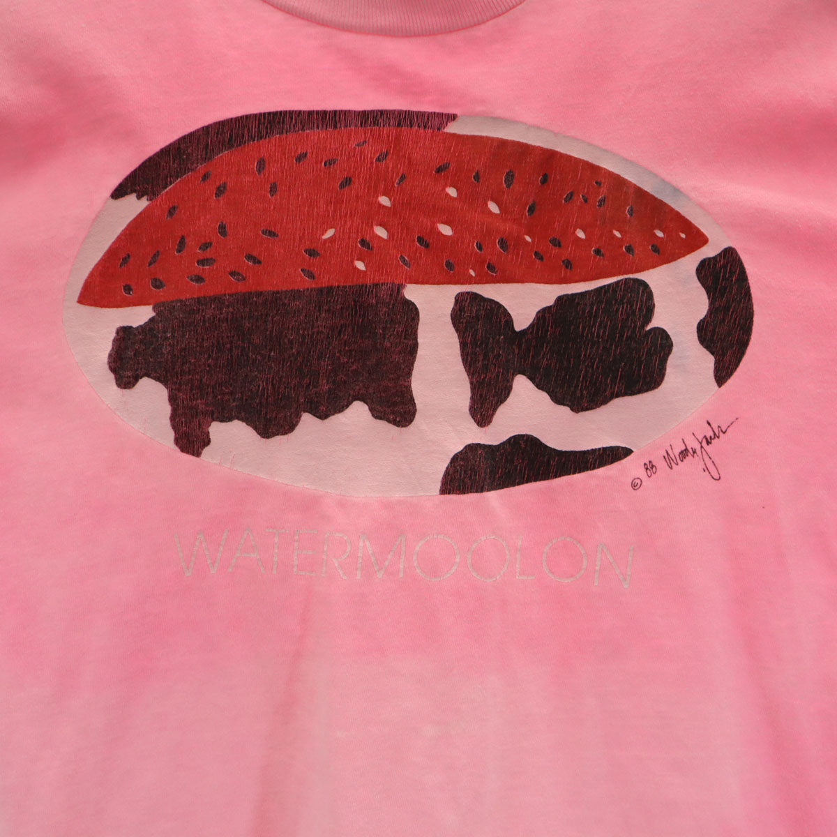 Skkimers 80s USA製 ヴィンテージ スイカ 半袖 Tシャツ XL ピンク シングルステッチ メンズ