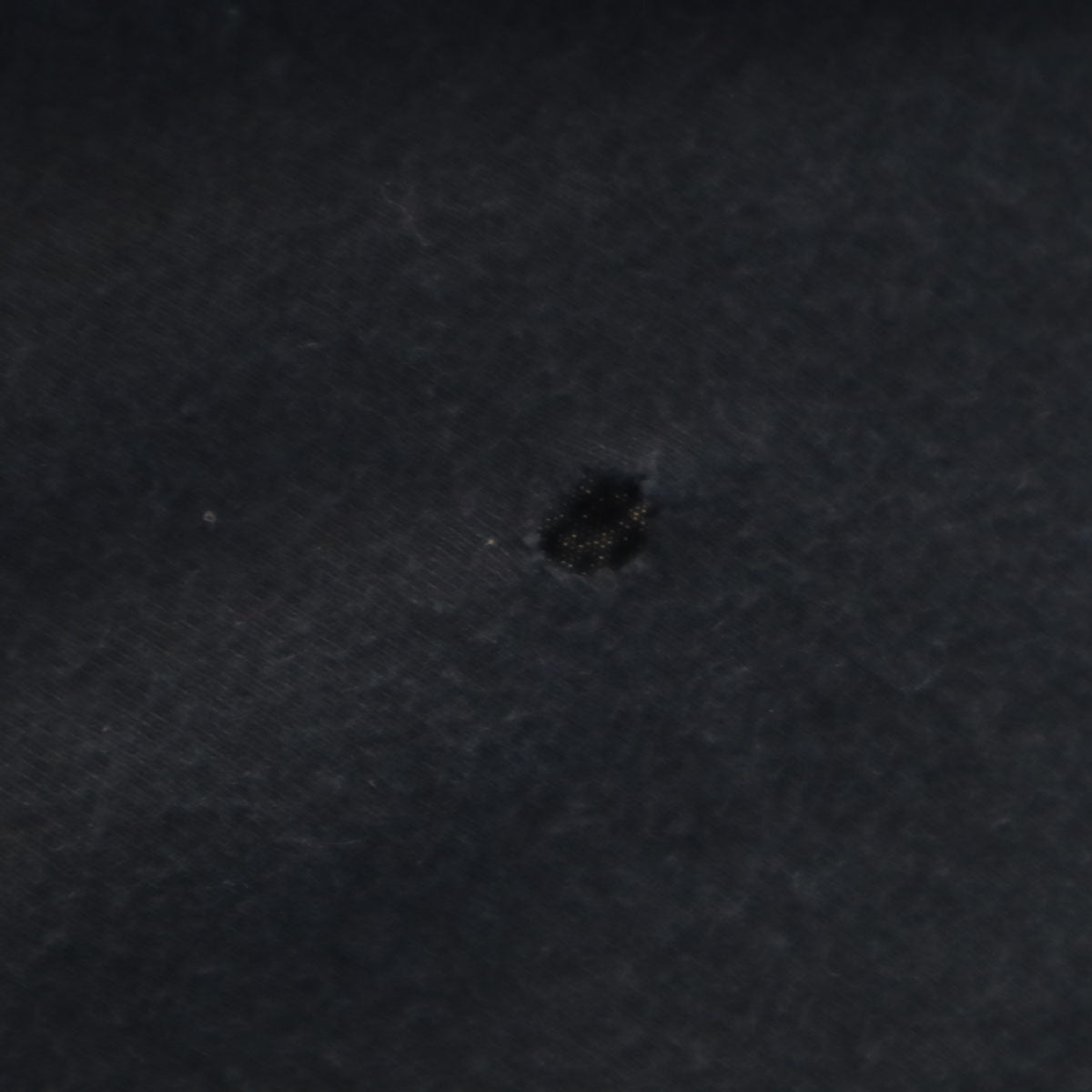 FUCKING AWESOME ファッキングオーサム BURN 半袖 Tシャツ L ブラック メンズ