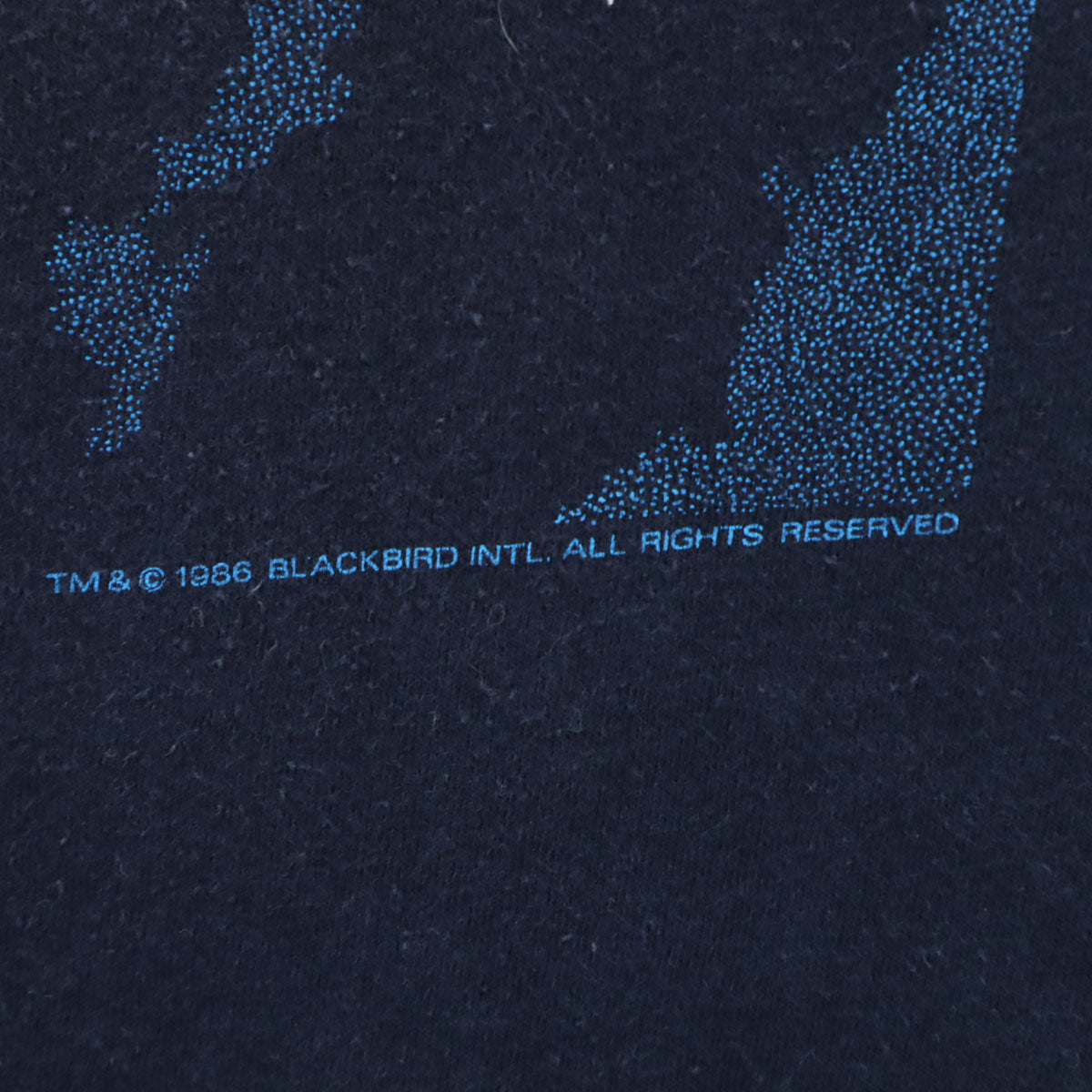 Champion チャンピオン 80s TUFF-ONES USA製 オールド 1986 BLACKBIRD F-16 半袖 Tシャツ XL ネイビー シングルステッチ メンズ